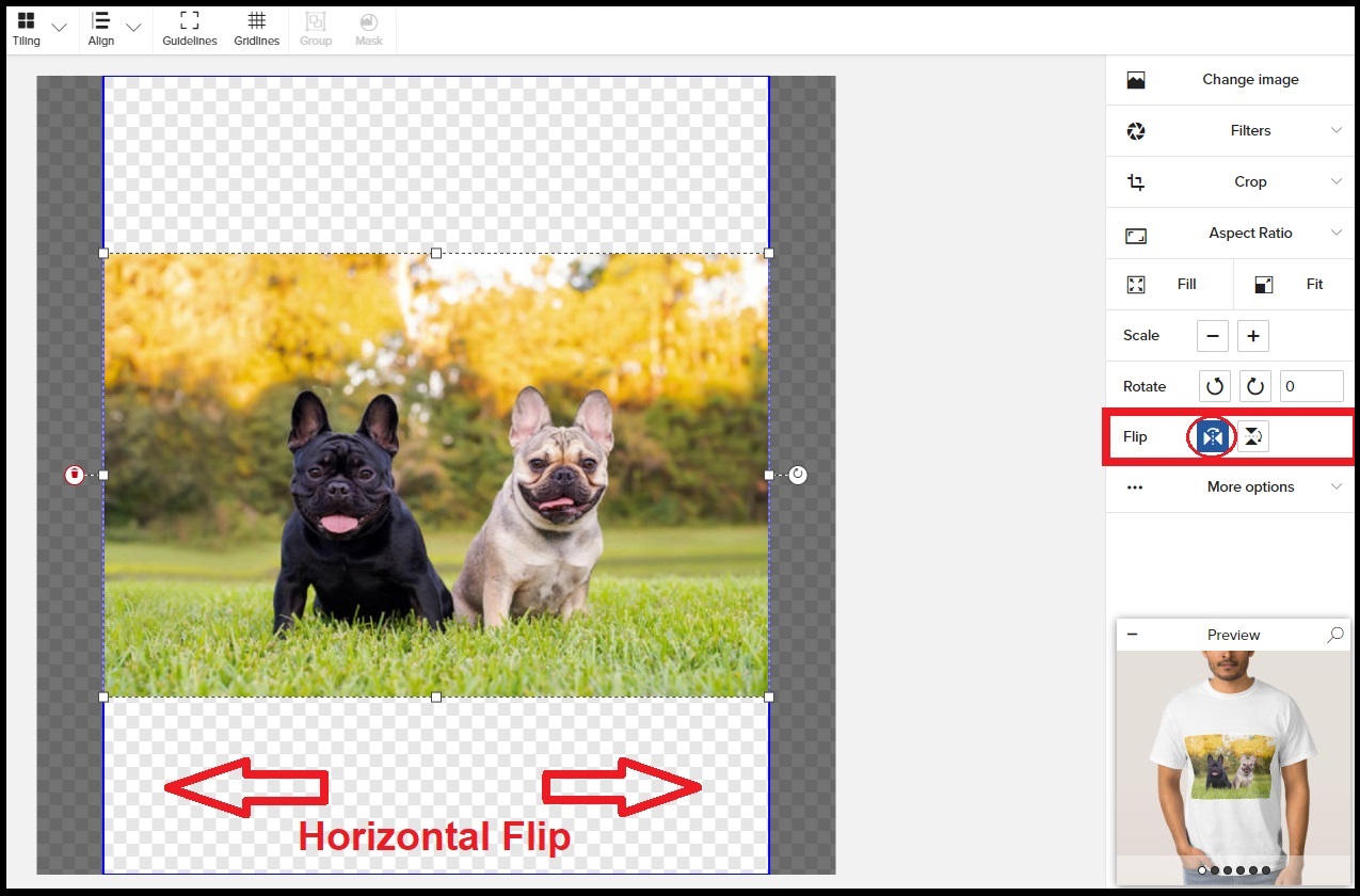Horizontal_Flip.jpg