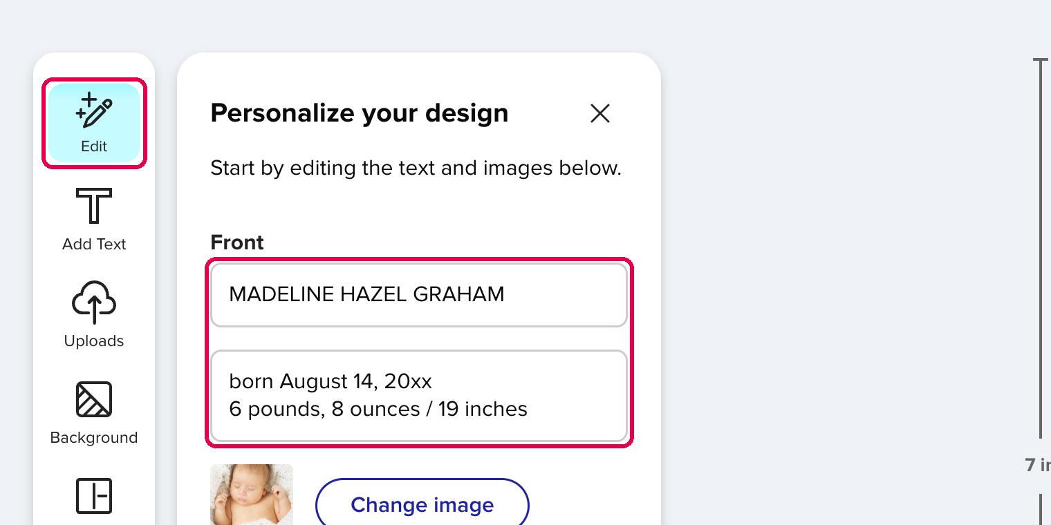 The Edit panel with the designer's text boxes